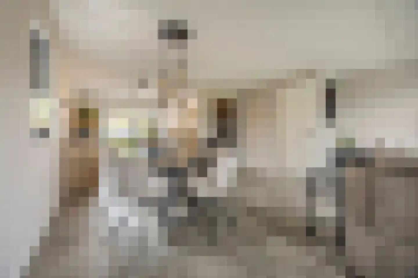 Prinsenland 11 Honselersdijk thumbnail 9