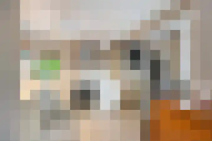 Prinsenlandsepad 4 Rotterdam thumbnail 13