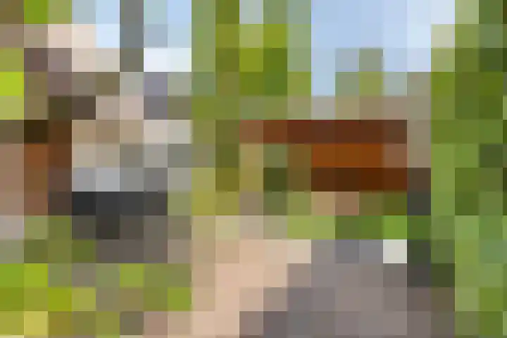 Prinsenlandsepad 4 Rotterdam thumbnail 40