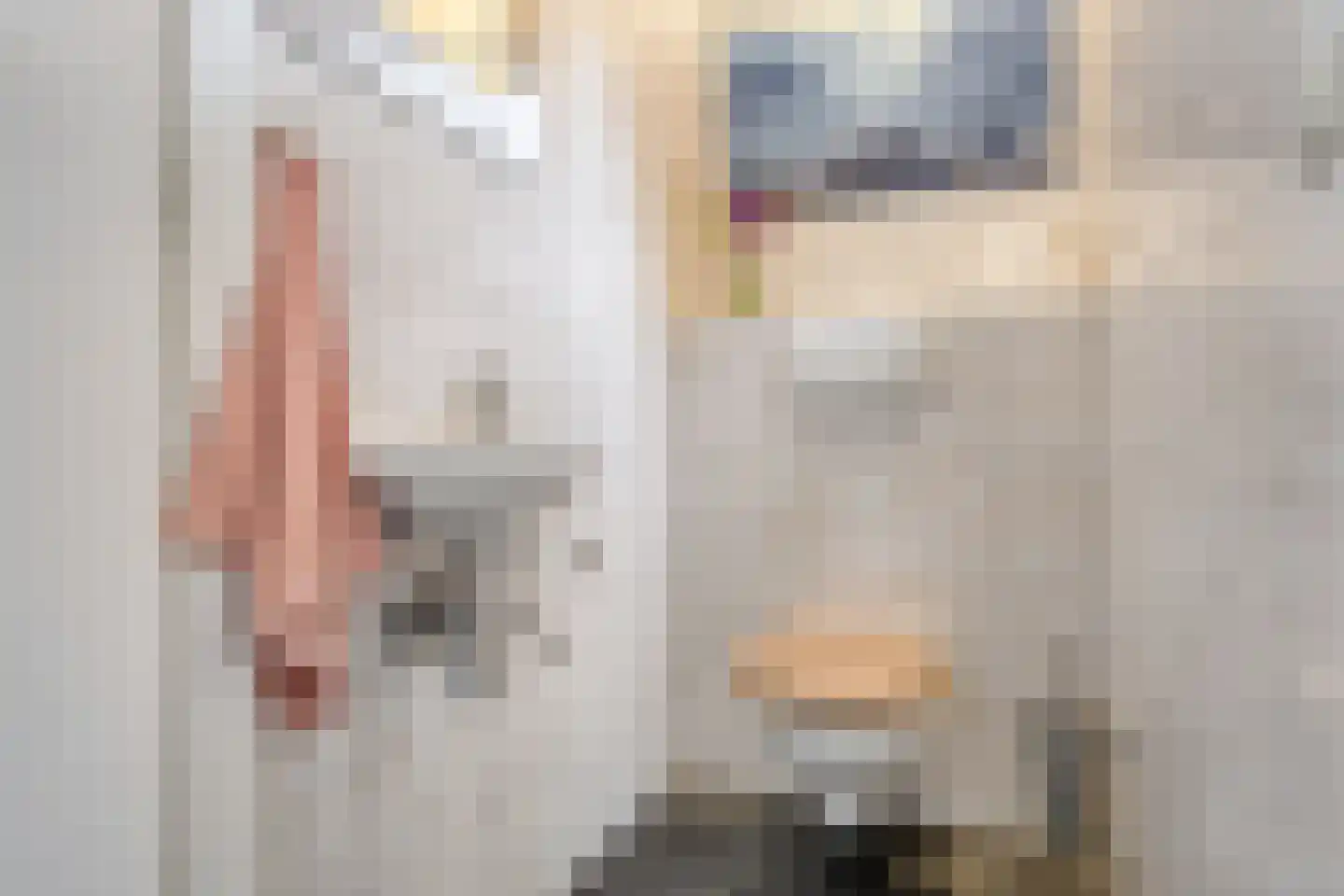 Prinsenmaatweg 4 Rha thumbnail 13