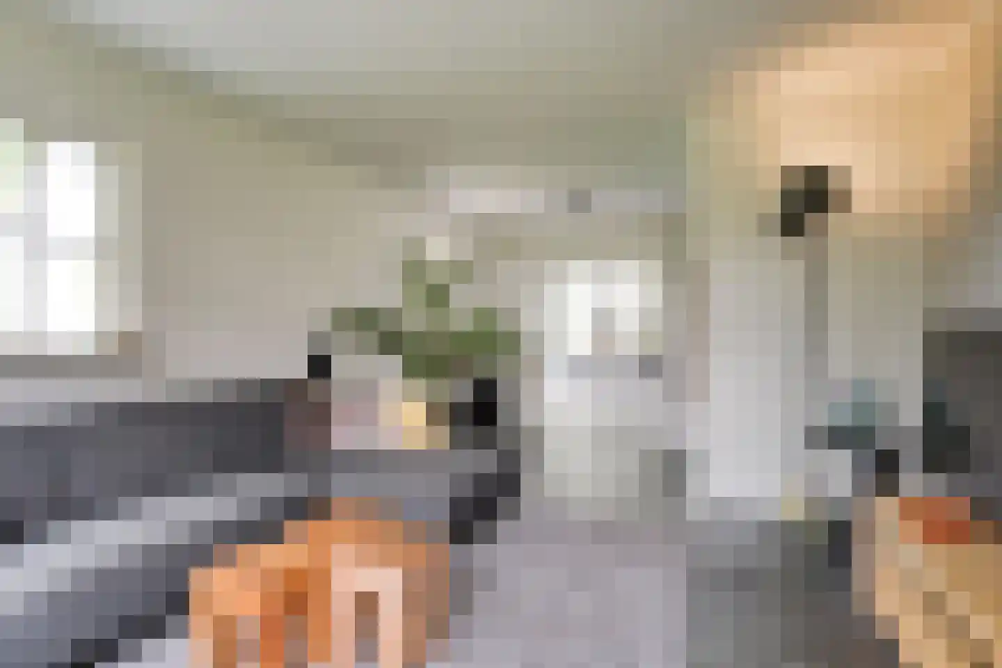 Prinsenmaatweg 4 Rha thumbnail 29