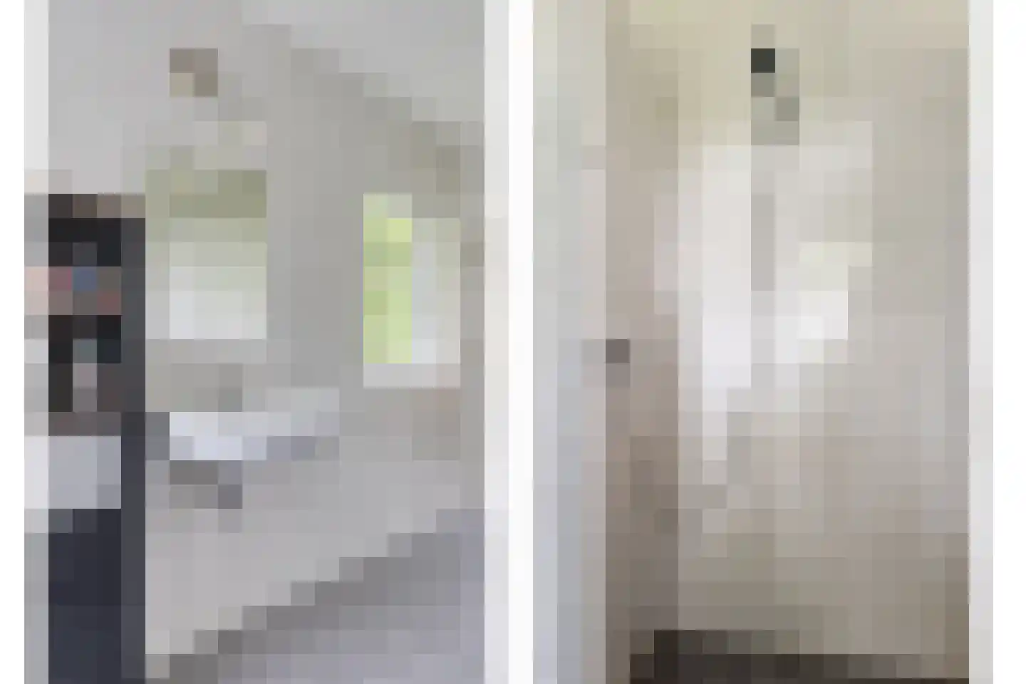 Prinsenmaatweg 4 Rha thumbnail 34