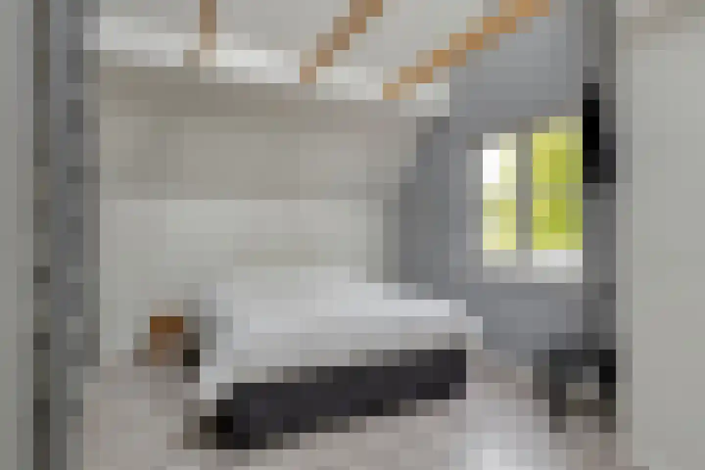 Prinsenmaatweg 4 Rha thumbnail 38