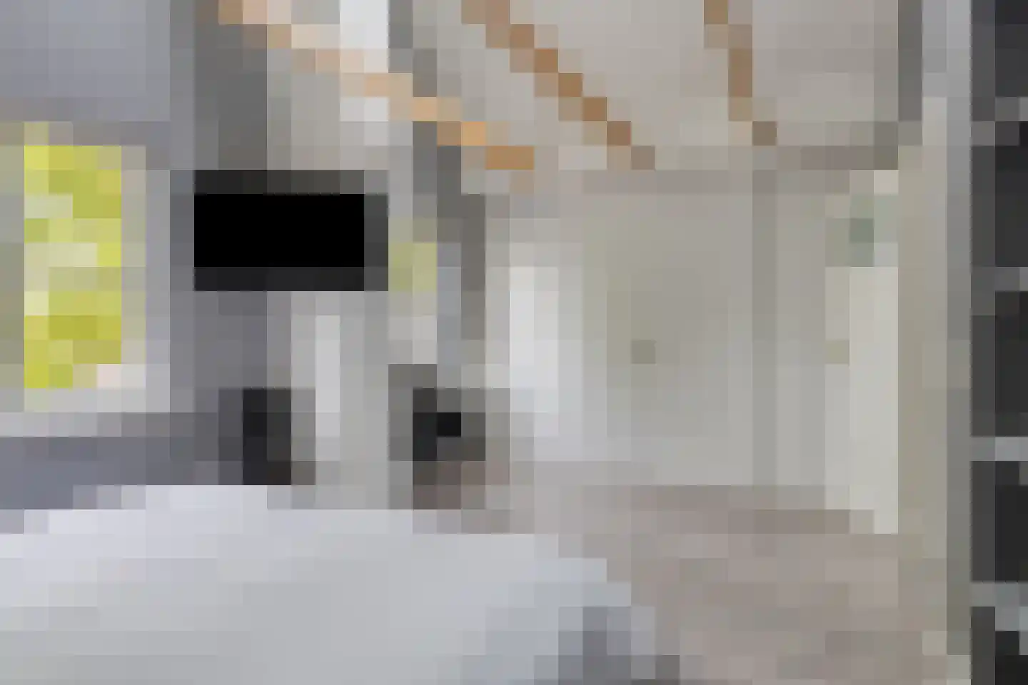 Prinsenmaatweg 4 Rha thumbnail 40