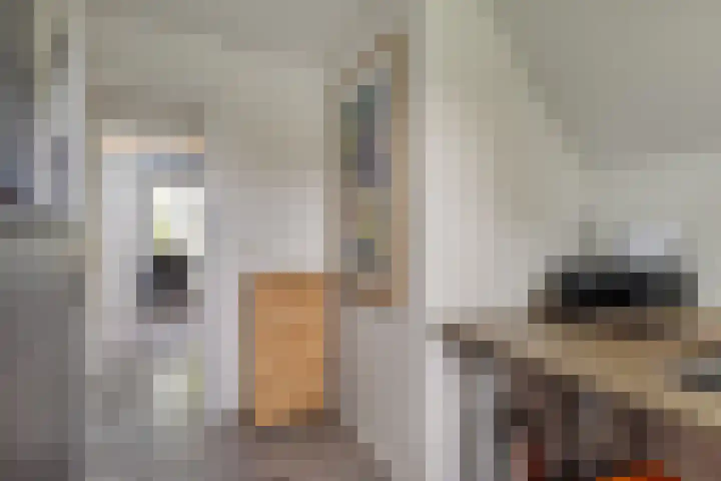 Prinsenmaatweg 4 Rha thumbnail 42