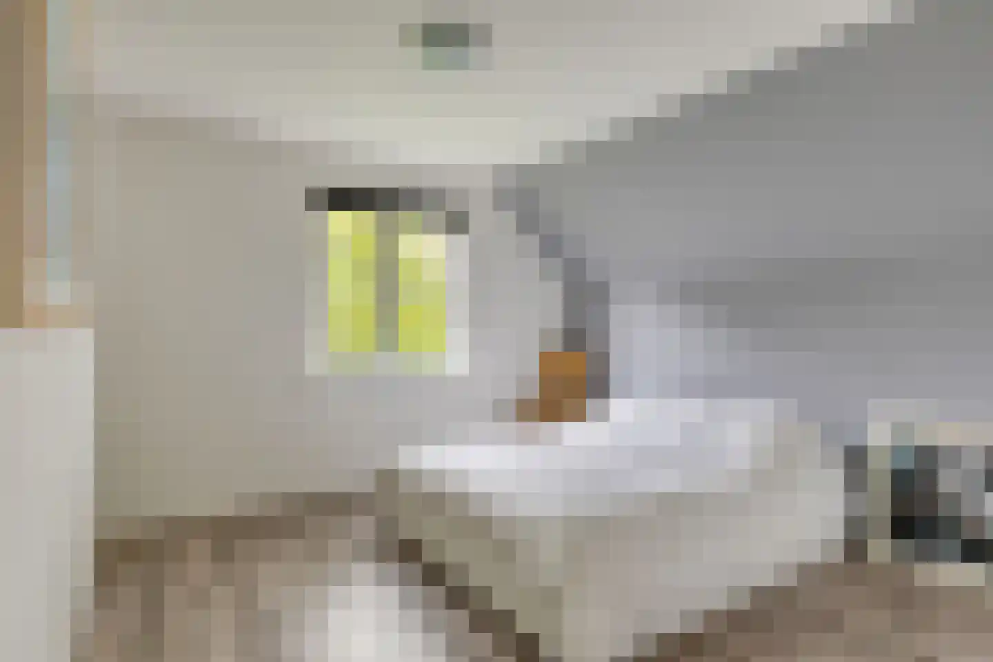Prinsenmaatweg 4 Rha thumbnail 43