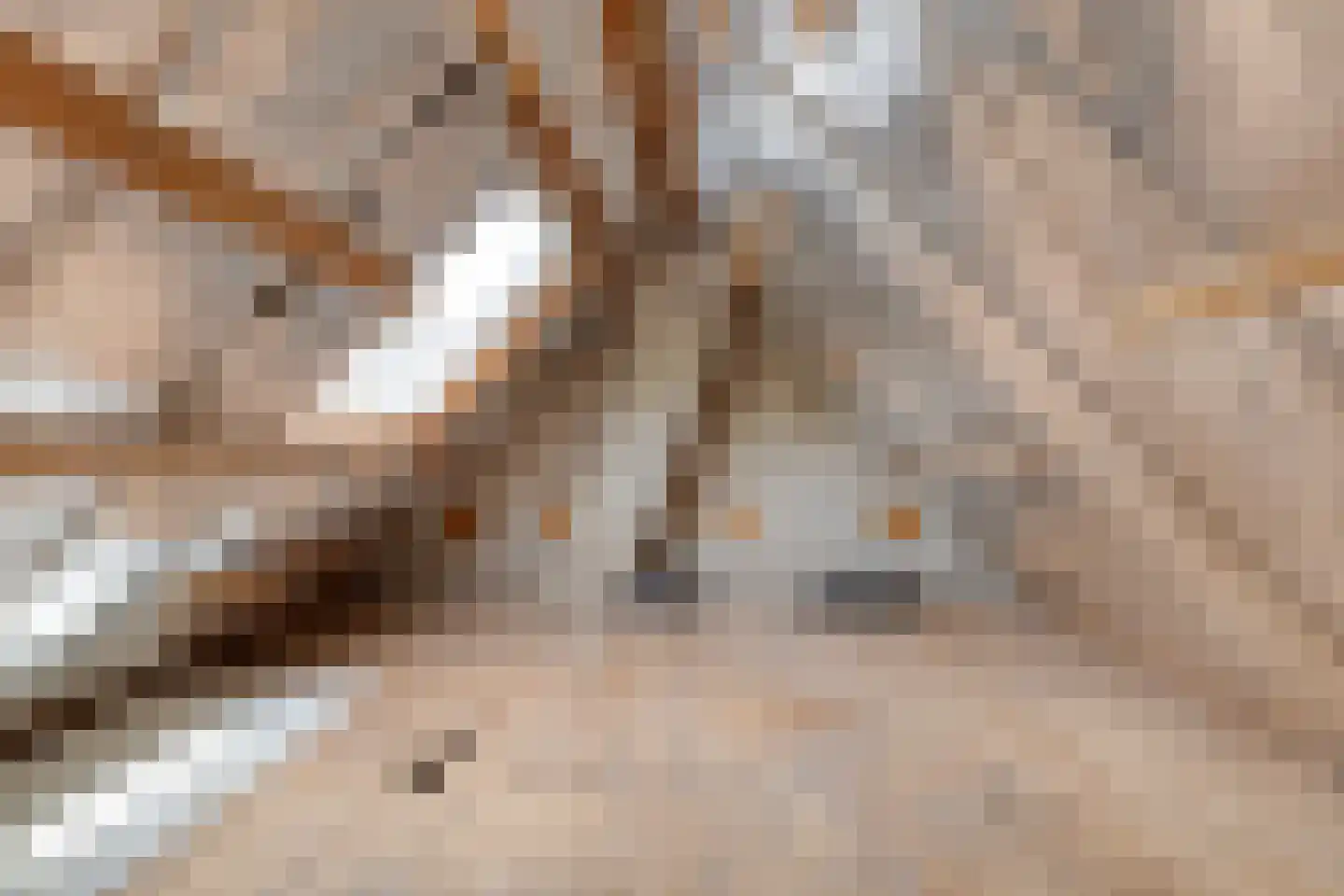 Prinsenmaatweg 4 Rha thumbnail 45