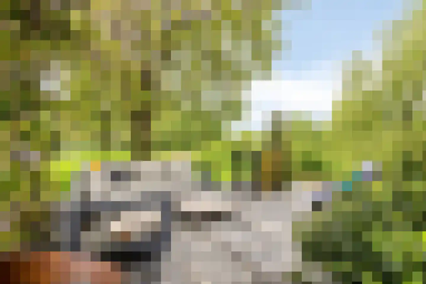 Prinsenmaatweg 4 Rha thumbnail 47