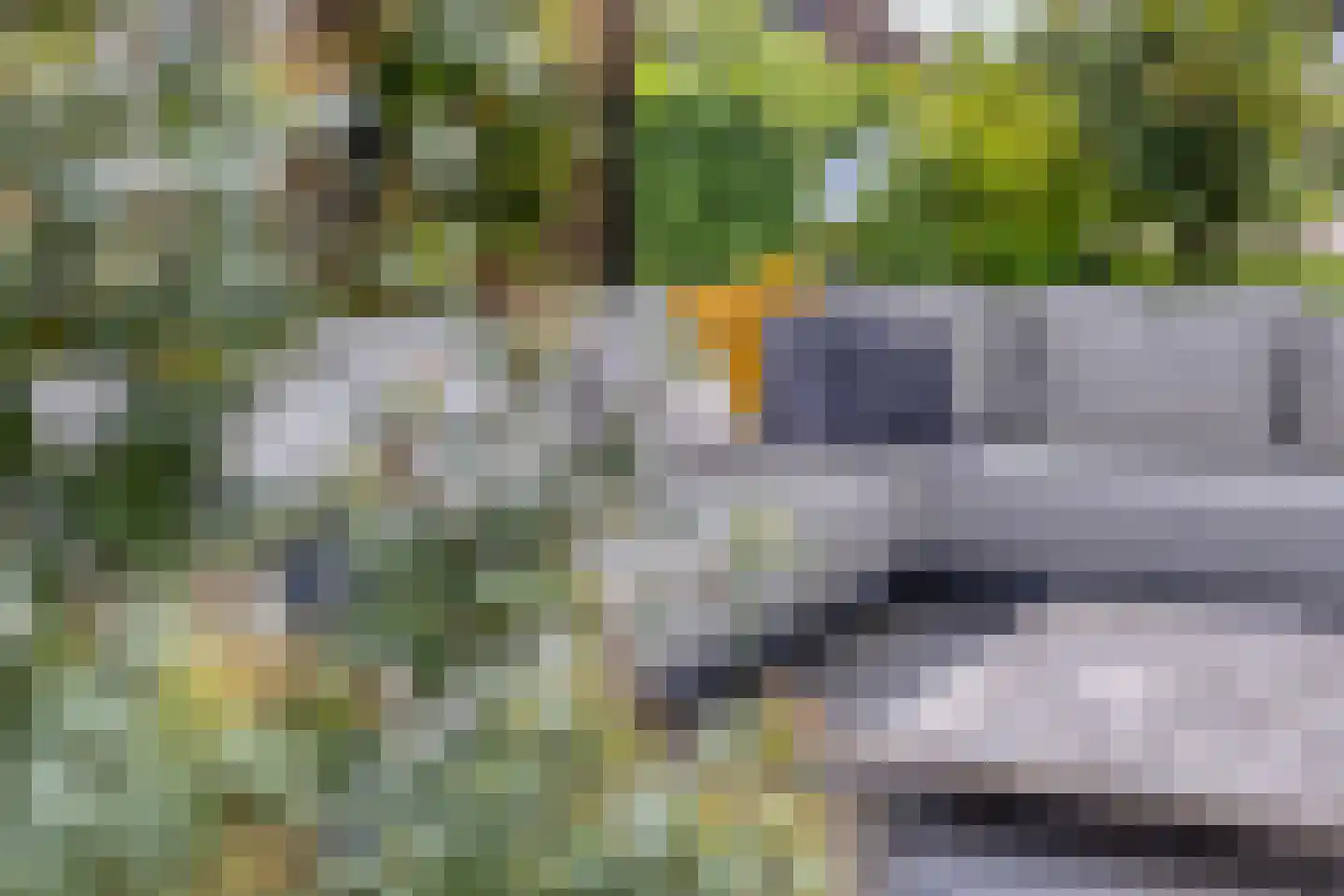 Prinsenmaatweg 4 Rha thumbnail 52
