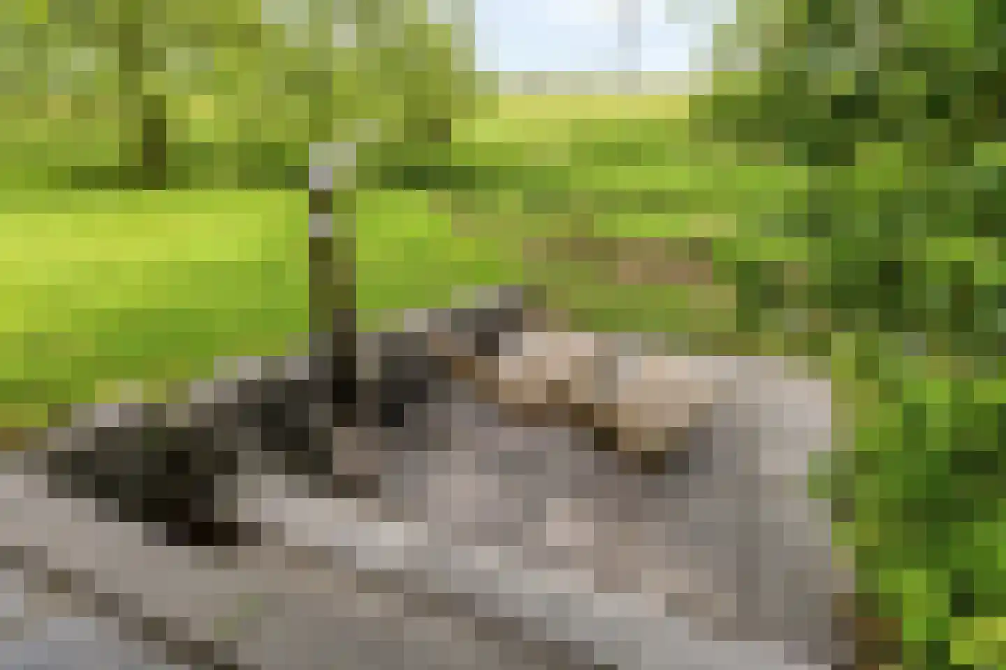 Prinsenmaatweg 4 Rha thumbnail 54
