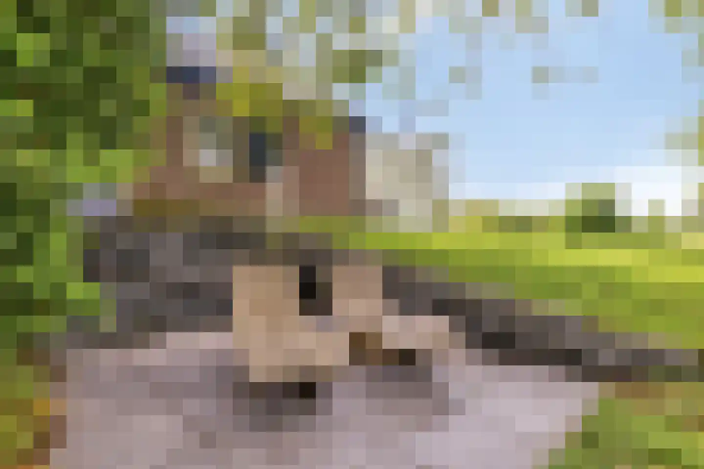 Prinsenmaatweg 4 Rha thumbnail 55