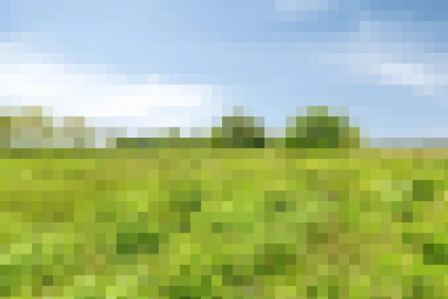 Prinsenmaatweg 4 Rha thumbnail 64