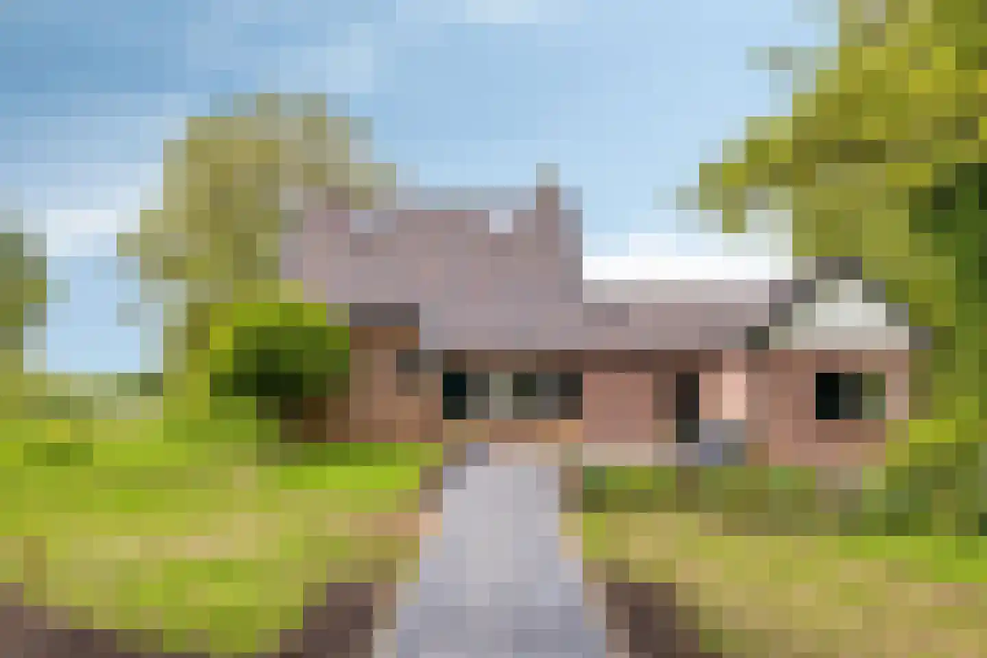 Prinsenmaatweg 4 Rha thumbnail 7