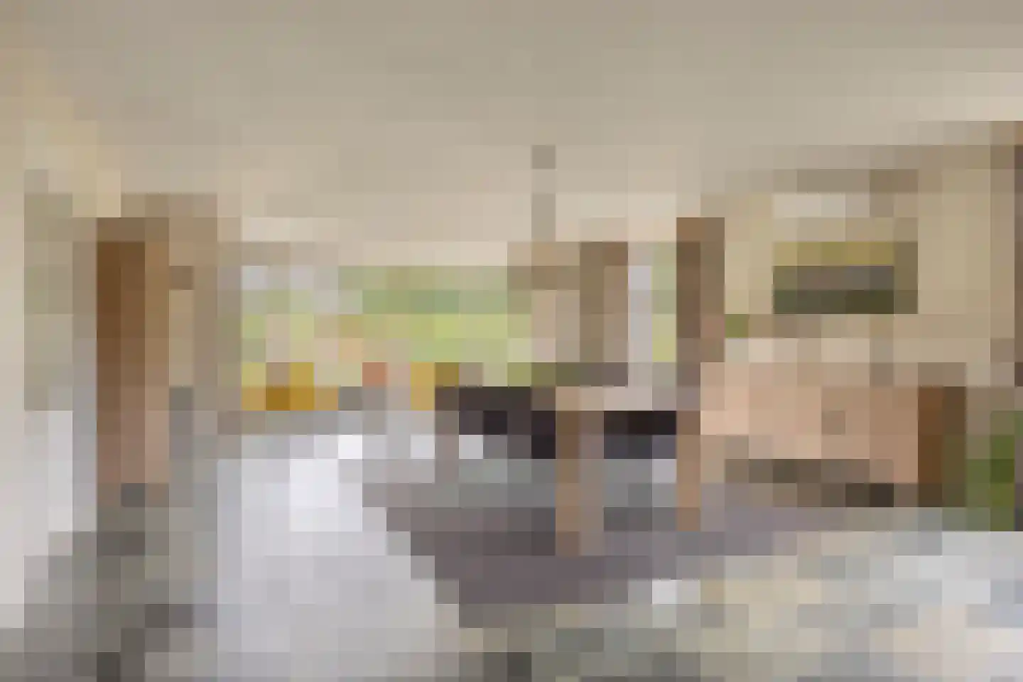 Prinsenpad 1 Best thumbnail 11