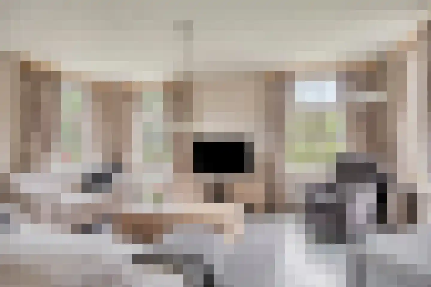 Prinsenpad 1 Best thumbnail 12