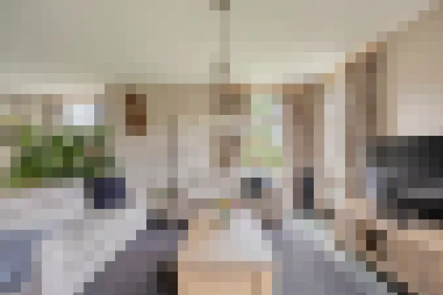 Prinsenpad 1 Best thumbnail 13