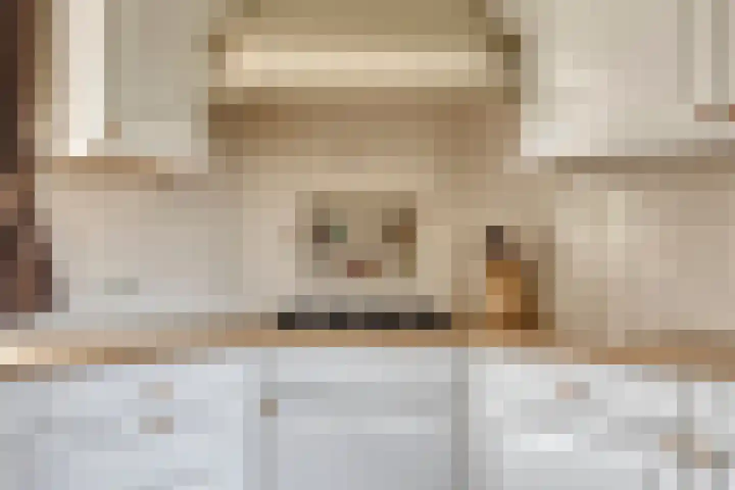 Prinsenpad 1 Best thumbnail 22