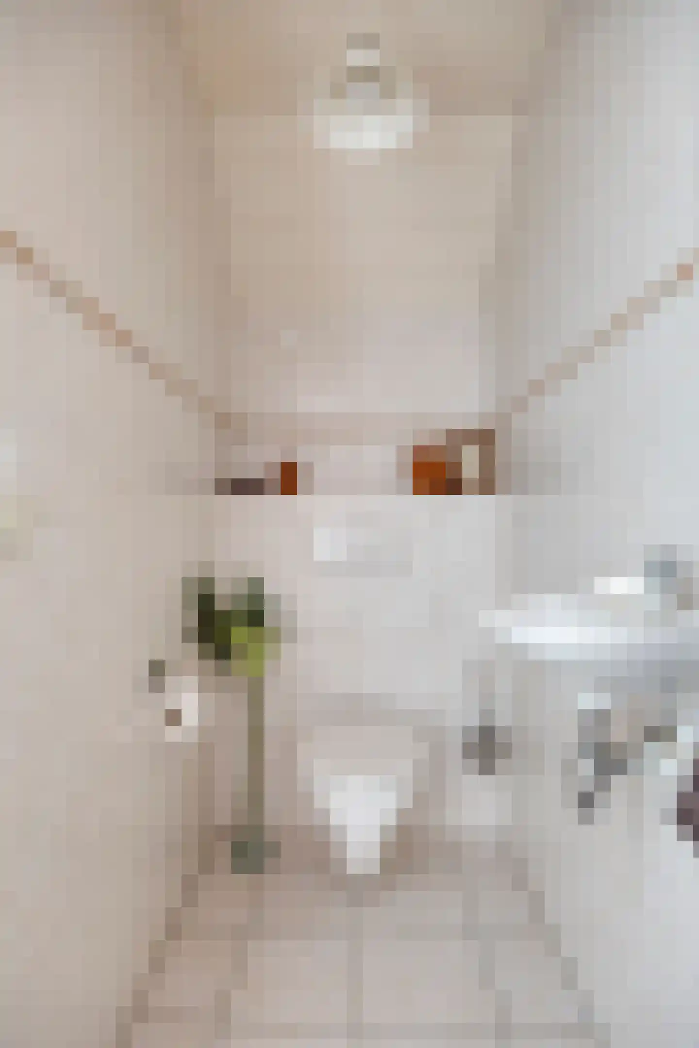 Prinsenpad 1 Best thumbnail 41