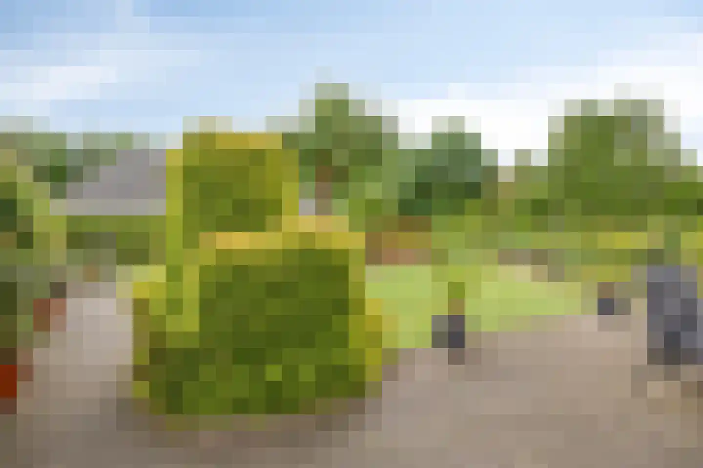 Prinsenpad 1 Best thumbnail 43