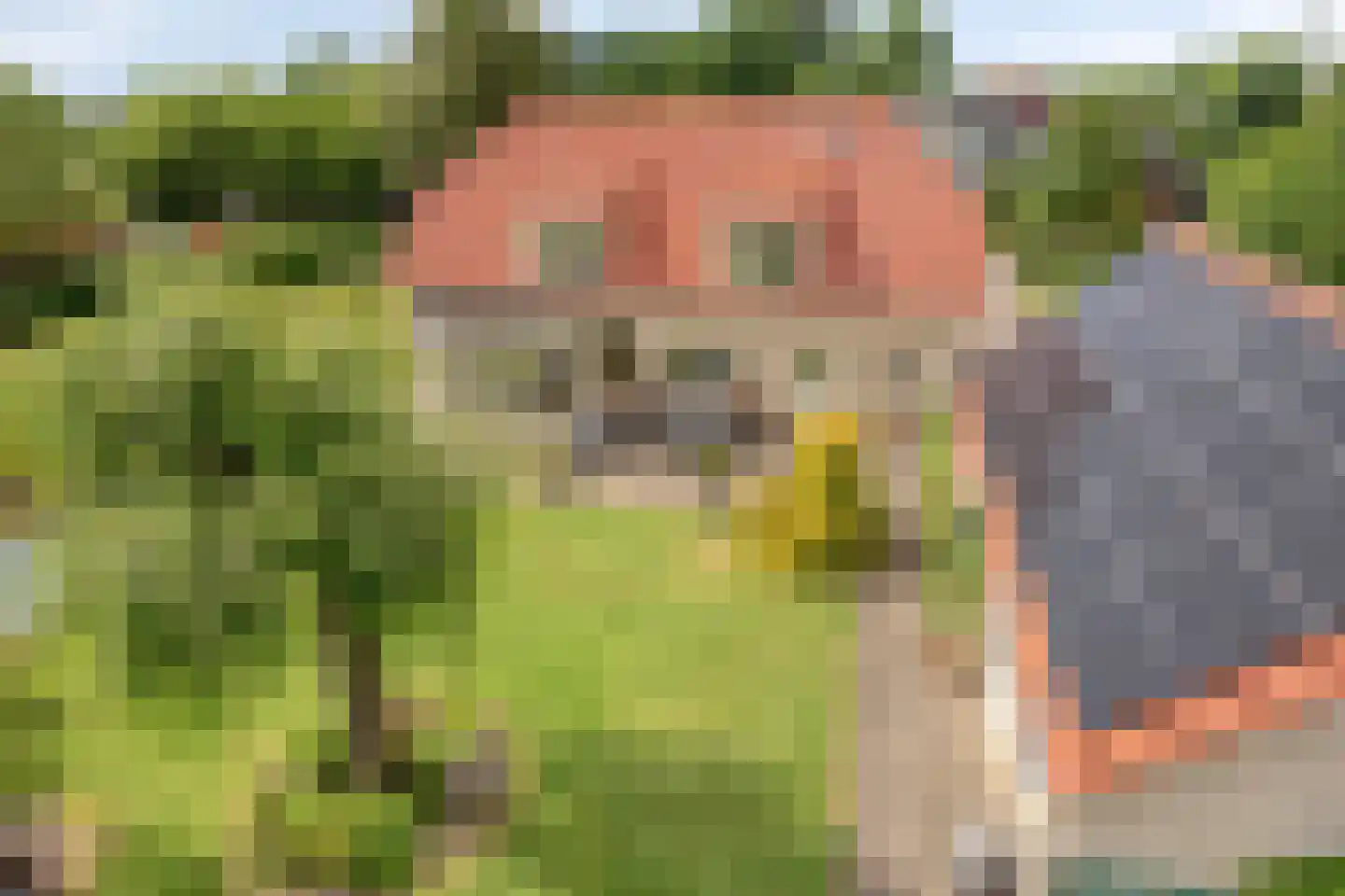 Prinsenpad 1 Best thumbnail 48