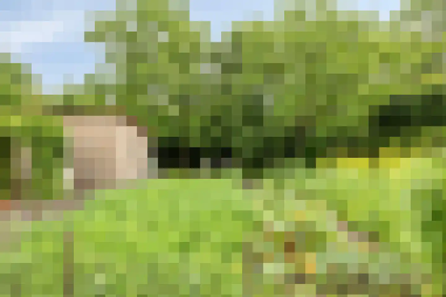 Prinsenpad 1 Best thumbnail 50