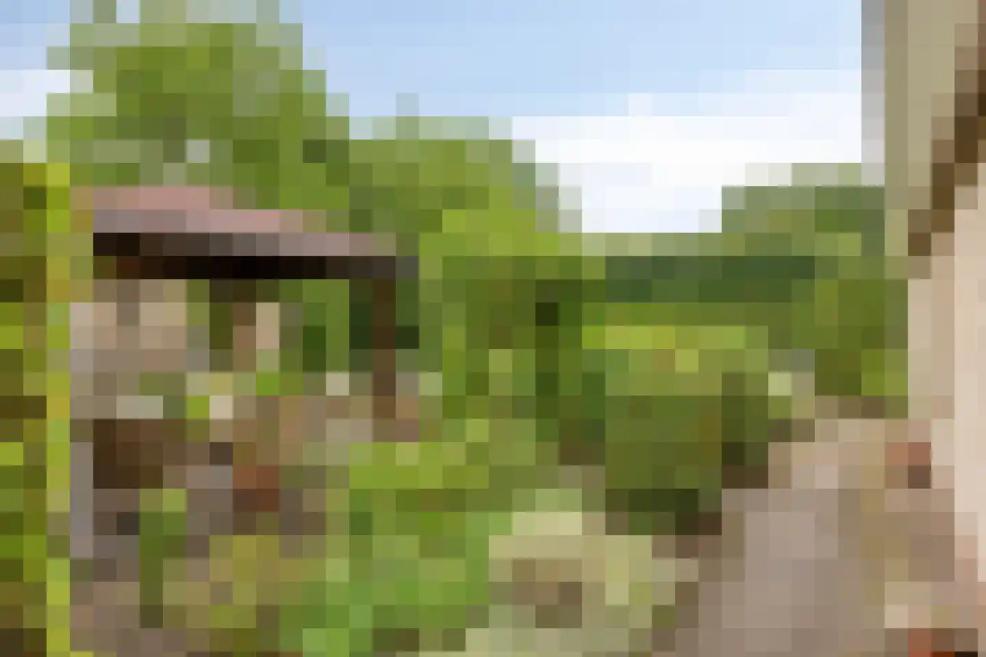 Prinsenpad 1 Best thumbnail 51