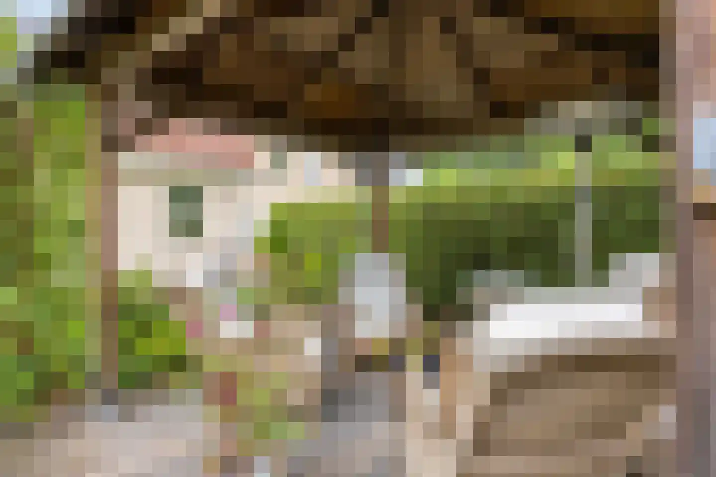 Prinsenpad 1 Best thumbnail 52