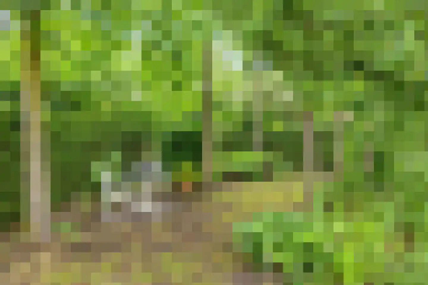 Prinsenpad 1 Best thumbnail 53
