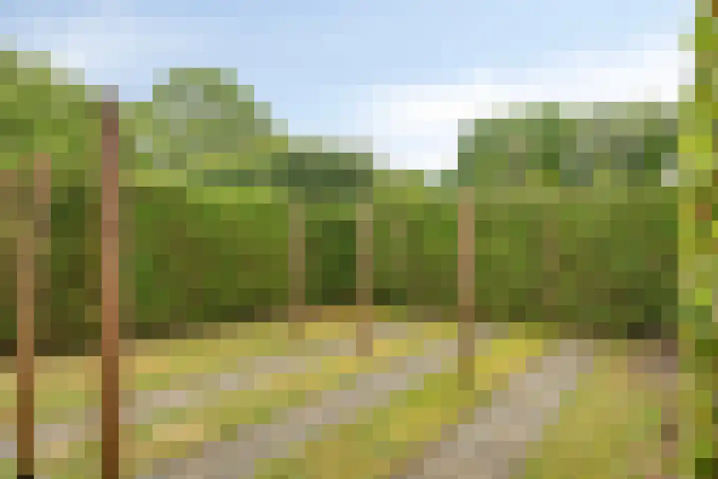 Prinsenpad 1 Best thumbnail 55