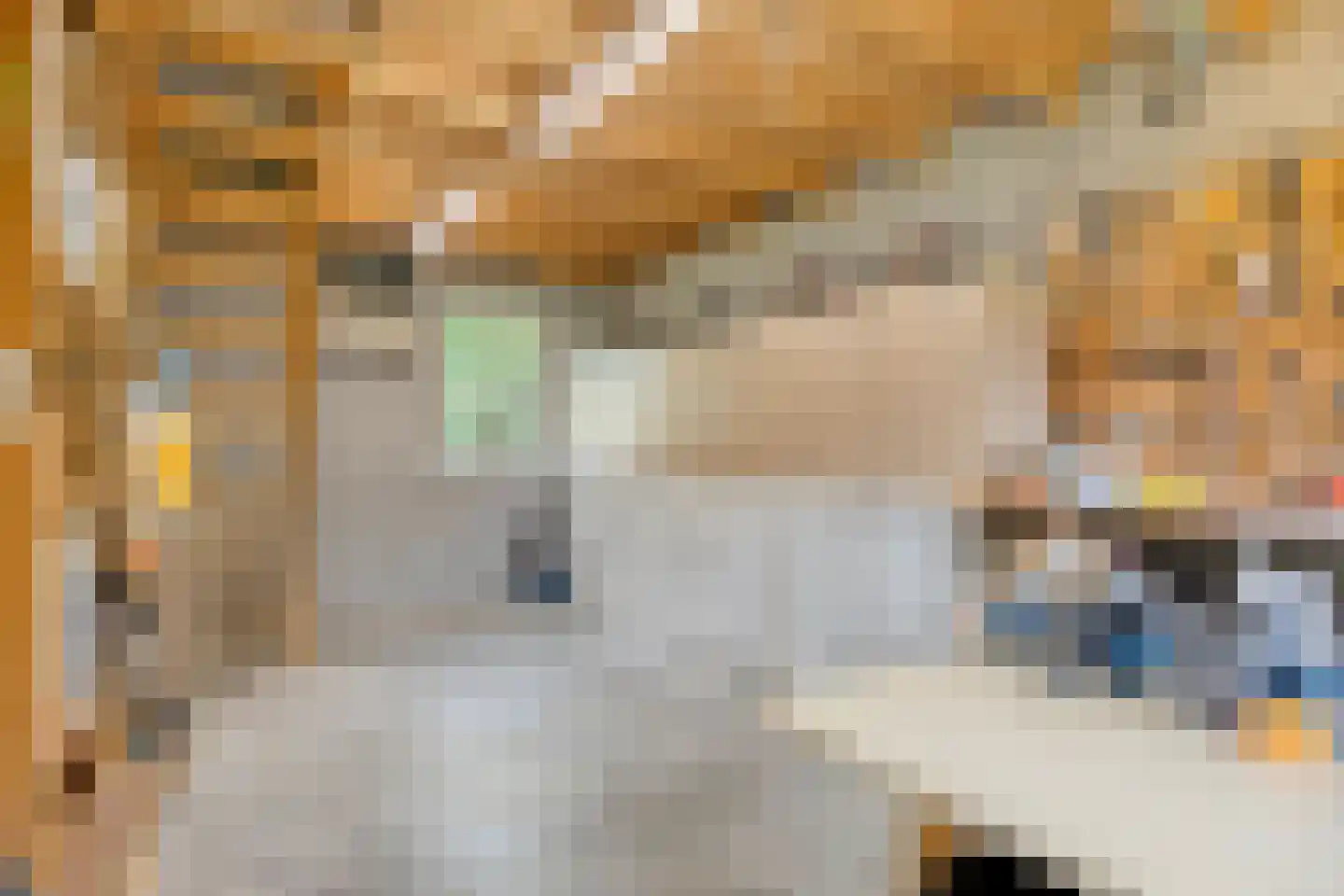 Prinsenpad 1 Best thumbnail 58