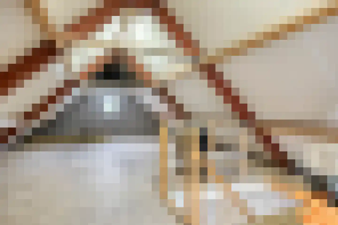 Prinsenpad 1 Best thumbnail 59