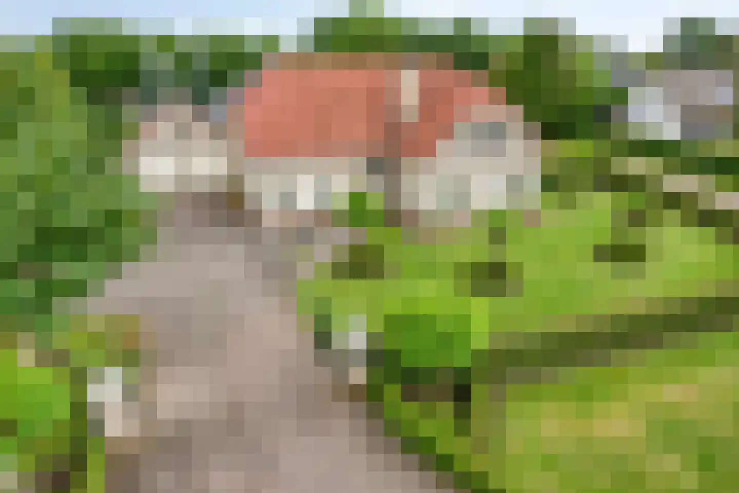 Prinsenpad 1 Best thumbnail 60