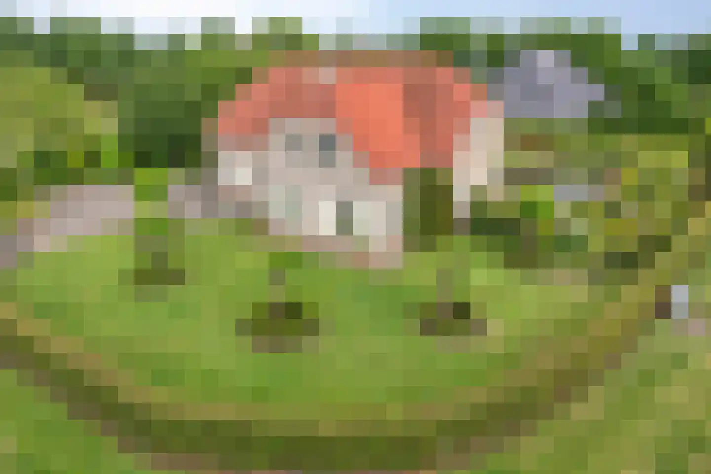 Prinsenpad 1 Best thumbnail 61