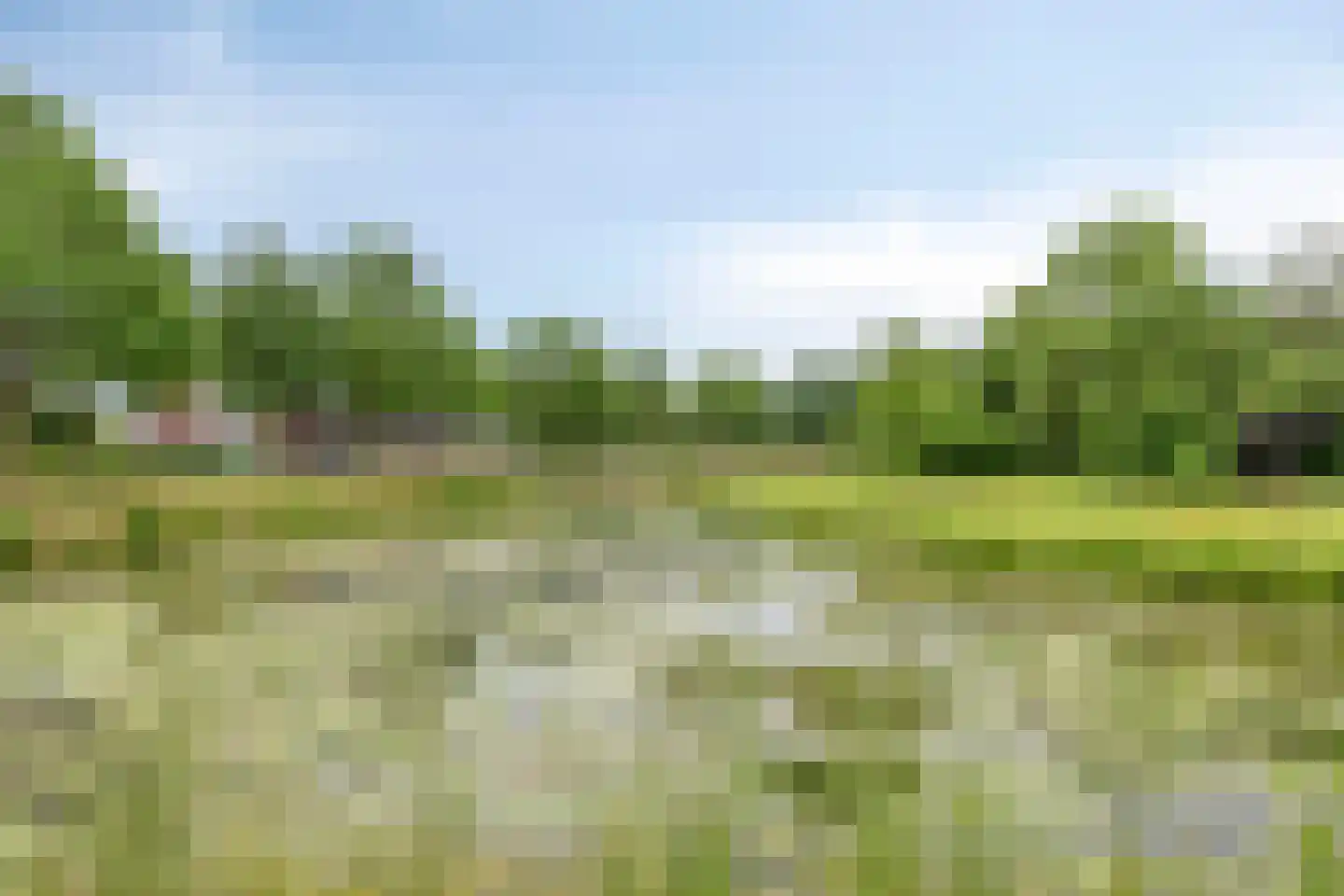 Prinsenpad 1 Best thumbnail 66