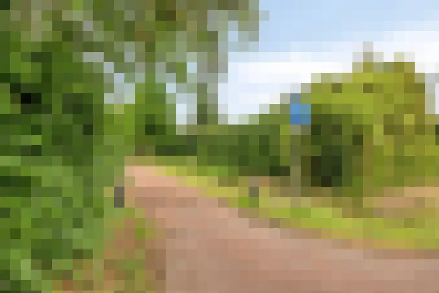 Prinsenpad 1 Best thumbnail 68