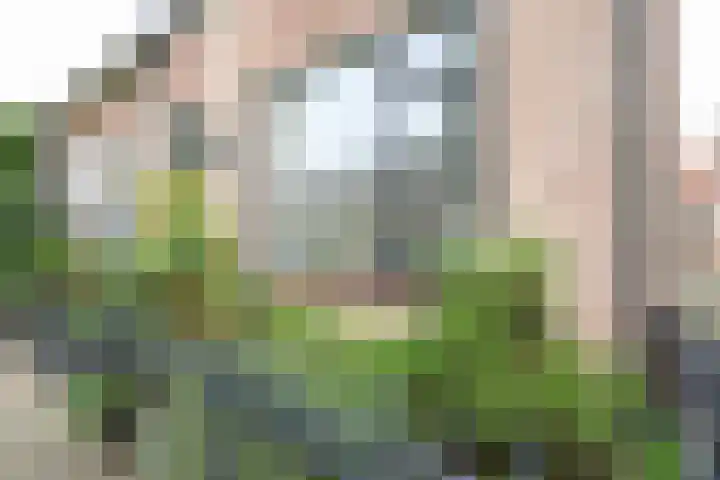 Prinsenpad 15 Rockanje thumbnail 11