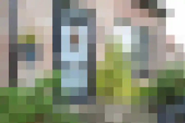 Prinsenpad 15 Rockanje thumbnail 13