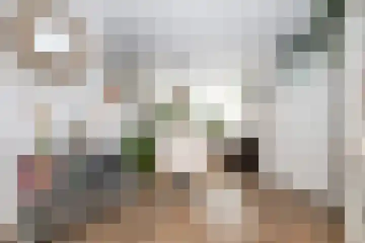 Prinsenpad 15 Rockanje thumbnail 17