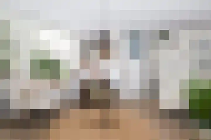 Prinsenpad 15 Rockanje thumbnail 19