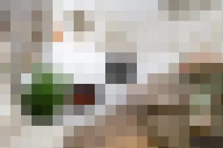 Prinsenpad 15 Rockanje thumbnail 20