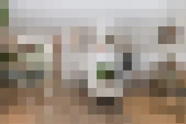 Prinsenpad 15 Rockanje thumbnail 21