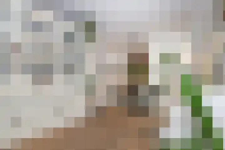 Prinsenpad 15 Rockanje thumbnail 22
