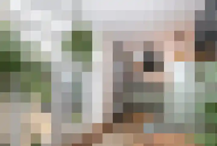 Prinsenpad 15 Rockanje thumbnail 24