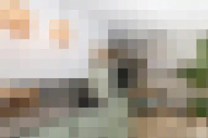 Prinsenpad 15 Rockanje thumbnail 26
