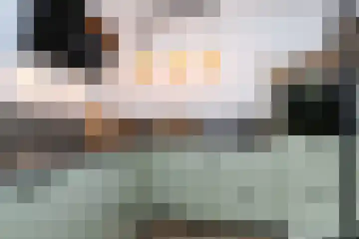 Prinsenpad 15 Rockanje thumbnail 28