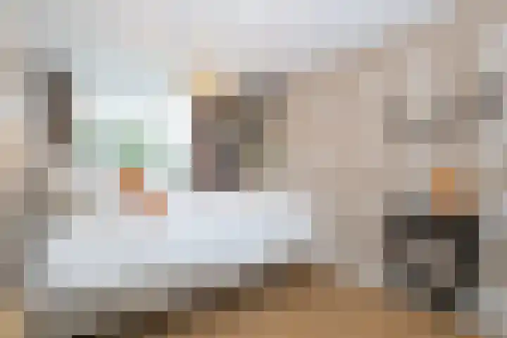 Prinsenpad 15 Rockanje thumbnail 38