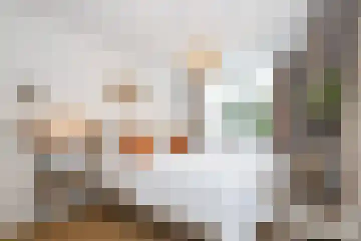 Prinsenpad 15 Rockanje thumbnail 39