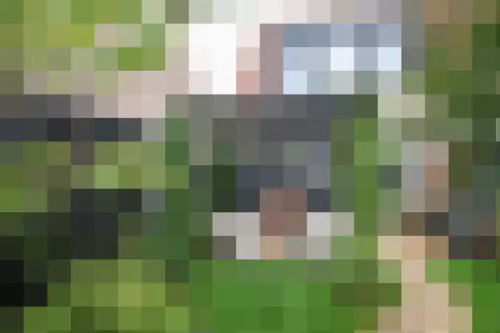 Prinsenpad 15 Rockanje thumbnail 4