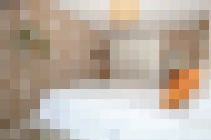 Prinsenpad 15 Rockanje thumbnail 41