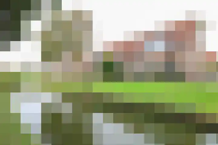 Prinsenpad 15 Rockanje thumbnail 5